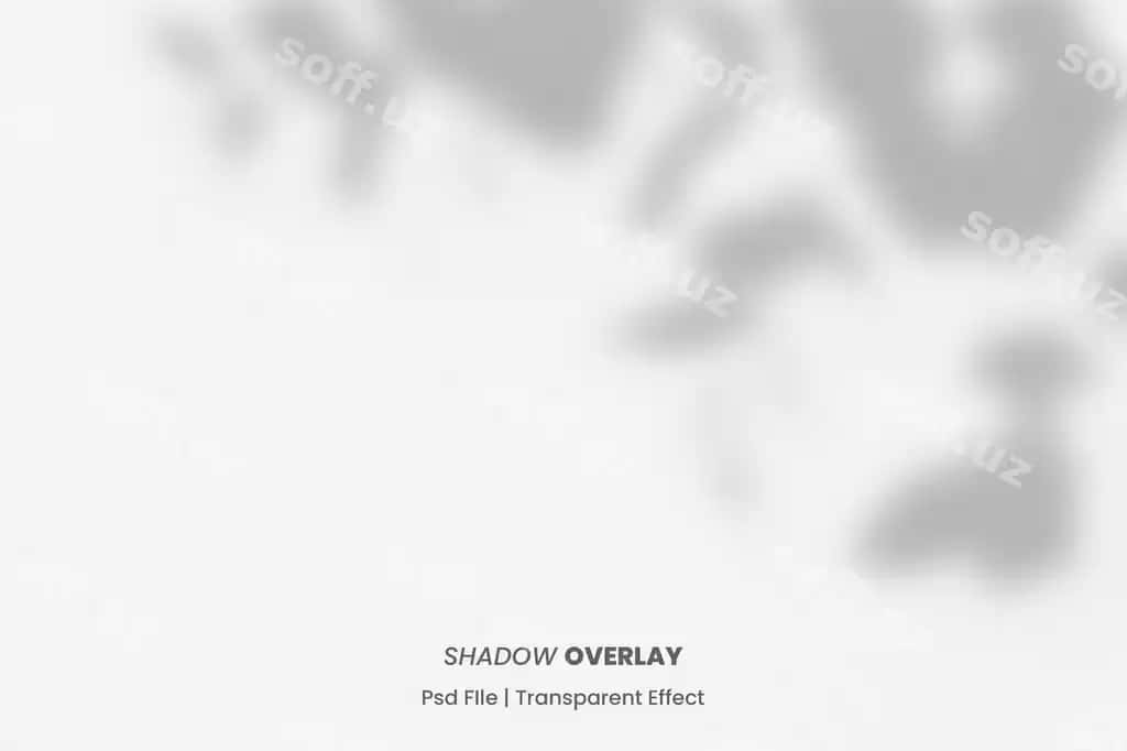 Tabiiy soya qatlami varaq shaffof orqa fon effekt PSD | Natural shadow overlay leaf transparent background effect psd
