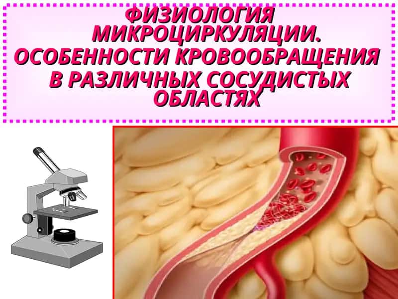 ФИЗИОЛОГИЯ МИКРОЦИРКУЛЯЦИИ. ОСОБЕННОСТИ КРОВООБРАЩЕНИЯ  В РАЗЛИЧНЫХ СОСУДИСТЫХ ОБЛАСТЯХ