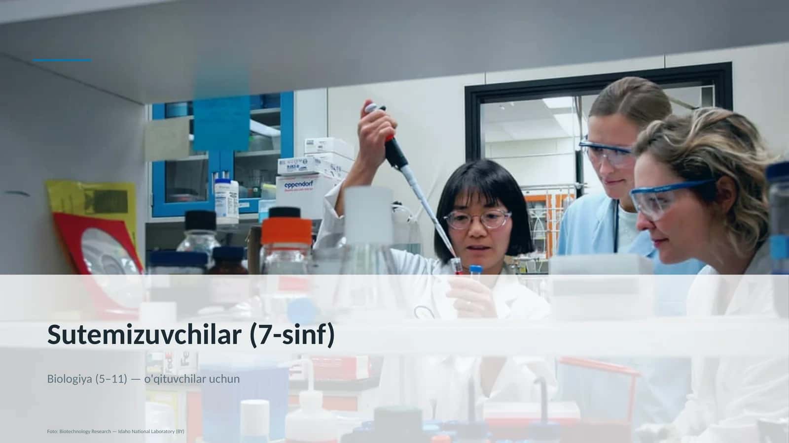 Sutemizuvchilar (7-sinf)