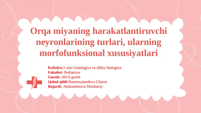Orqamiyaning harakatlantiruvchi neyronlarining turlari