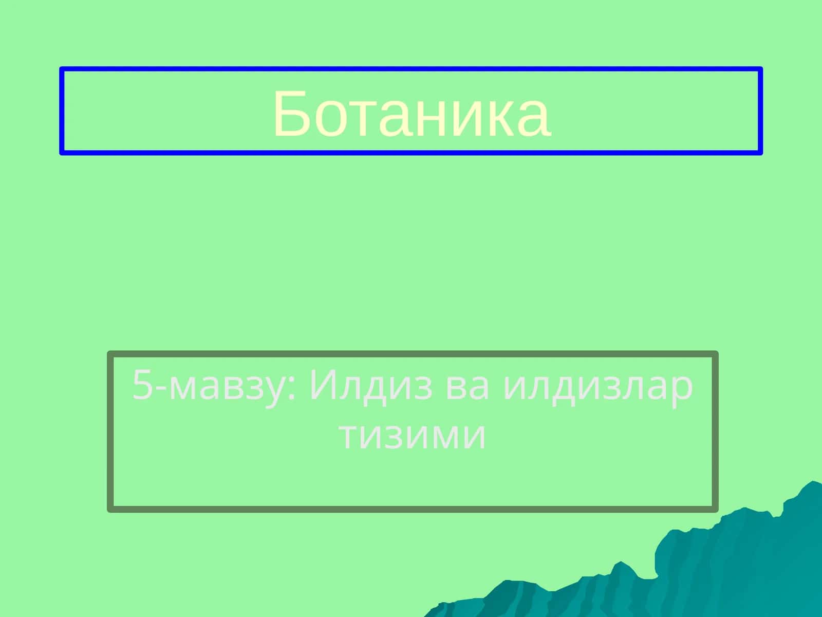 Илдиз ва илдизлар тизими