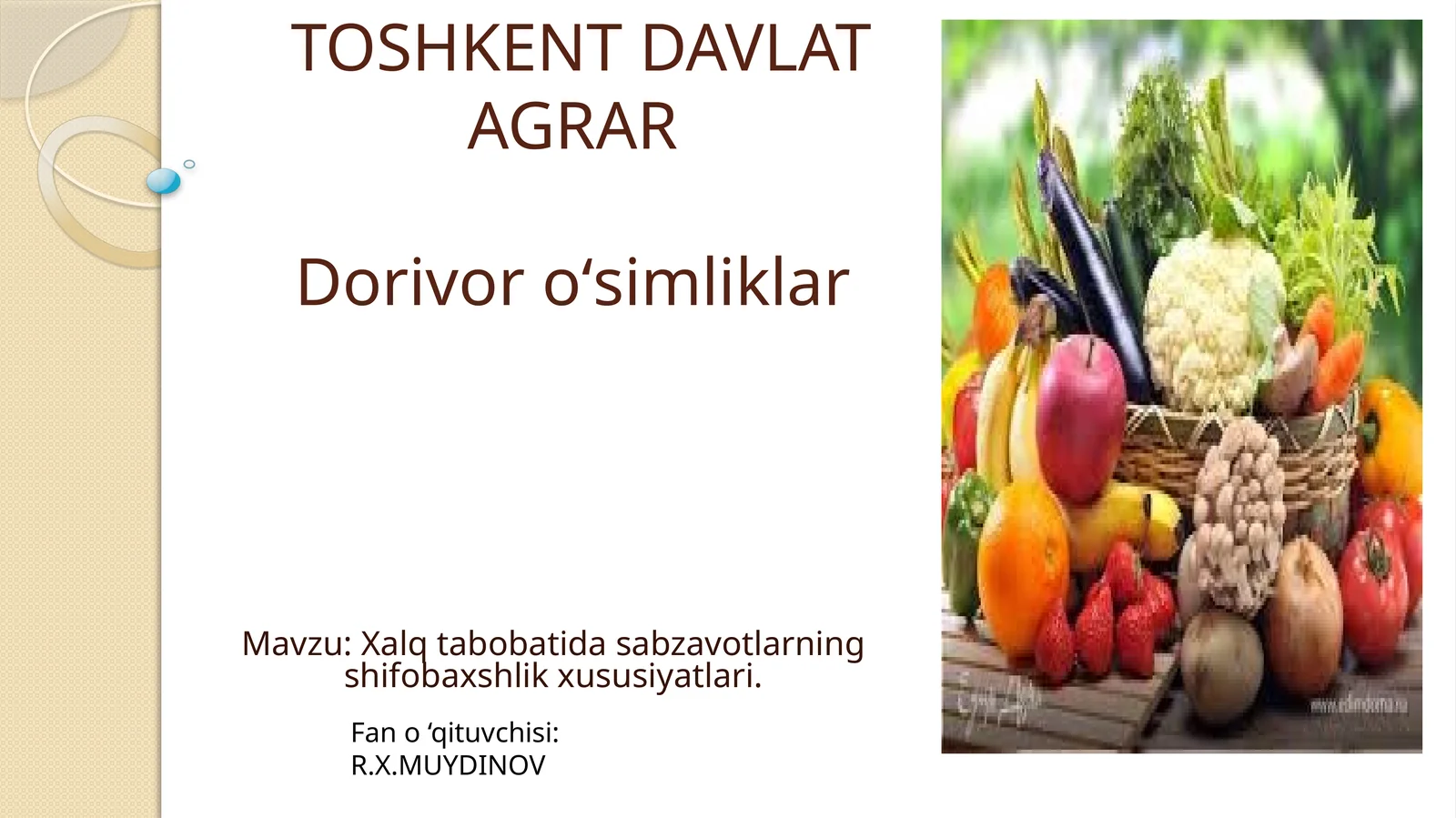 Xalq tabobatida sabzavotlarning shifobaxshlik xususiyatlari