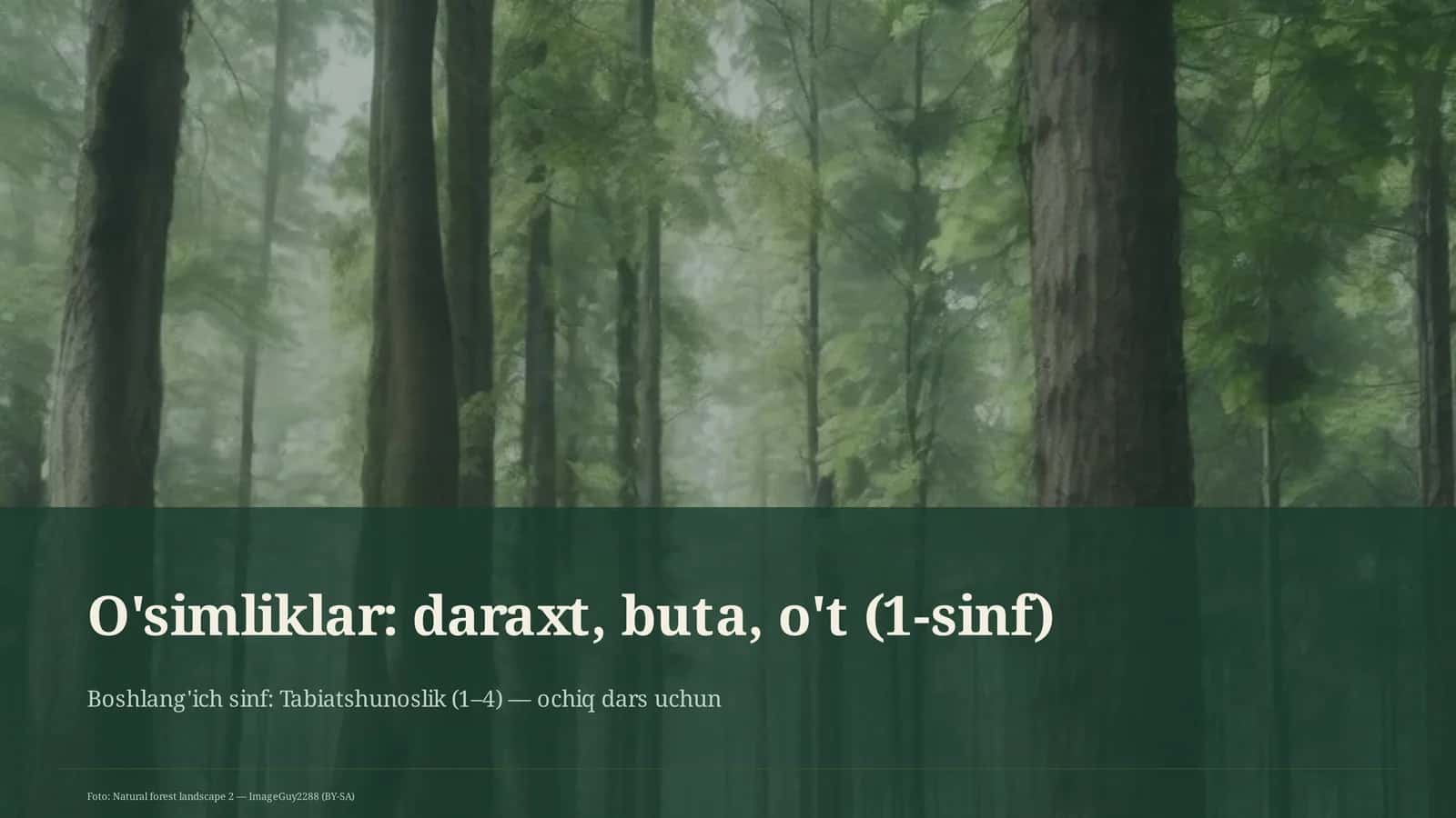 O'simliklar: daraxt, buta, o't (1-sinf)
