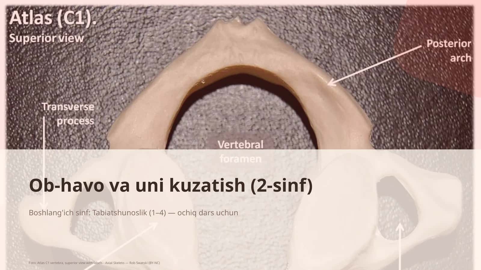 Ob-havo va uni kuzatish (2-sinf)