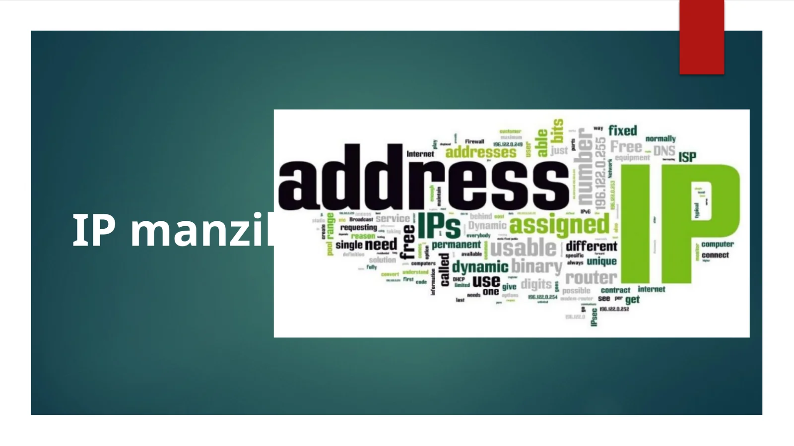 IP manzil