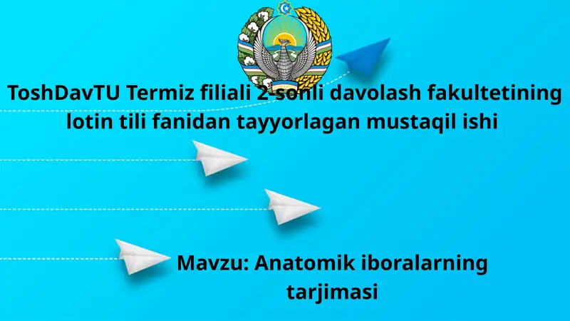 Anatomik iboralarning tarjimasi
