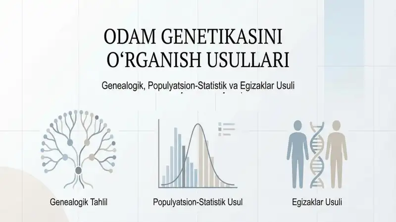 Odam genetikasini oʻrganish usullari genealogik populyatsion statistik va egizaklar usuli