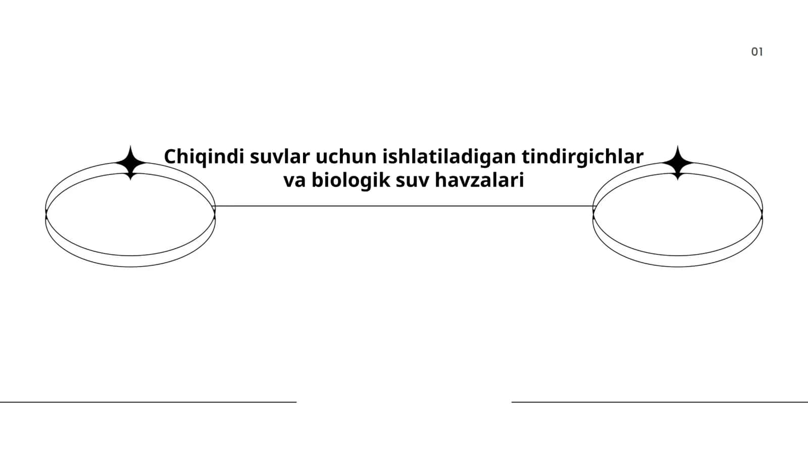 Chiqindi suvlar uchun tindirgichlar va biologik suv havzalari