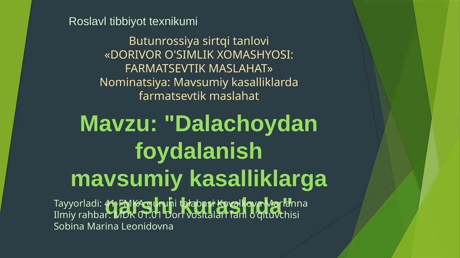 Dala choyi (dalachoy) dorivor o'simligining mavsumiy kasalliklarda qo'llanilishi