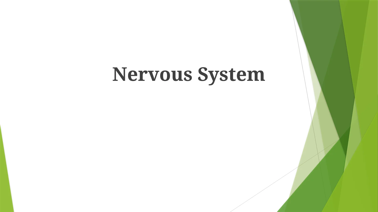Nervous System