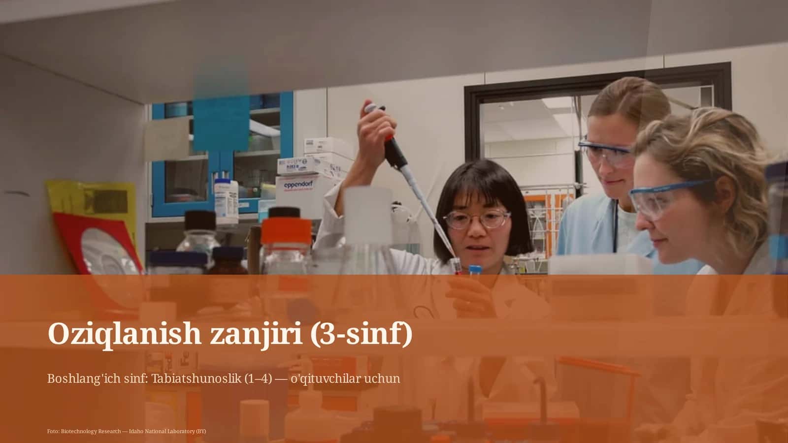 Oziqlanish zanjiri (3-sinf)