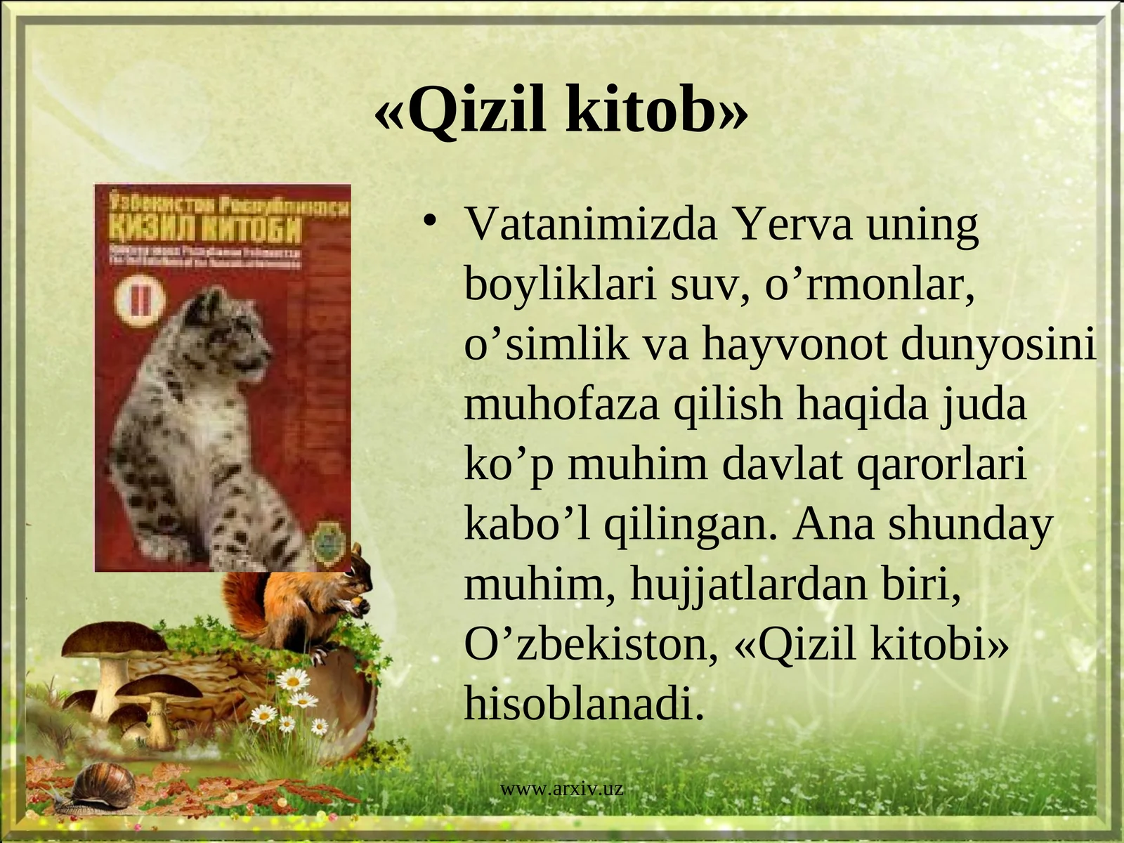 Qizil kitob