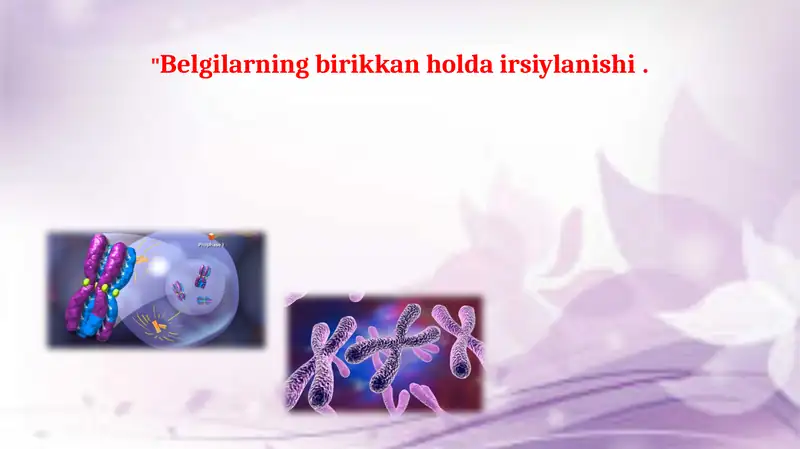 Jinsiy xromosomalar va avlodlar
