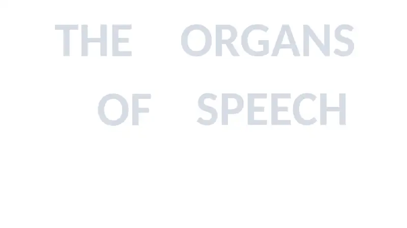 THE ORGANS OF SPEECH