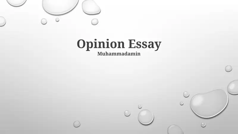 Opinion Essay