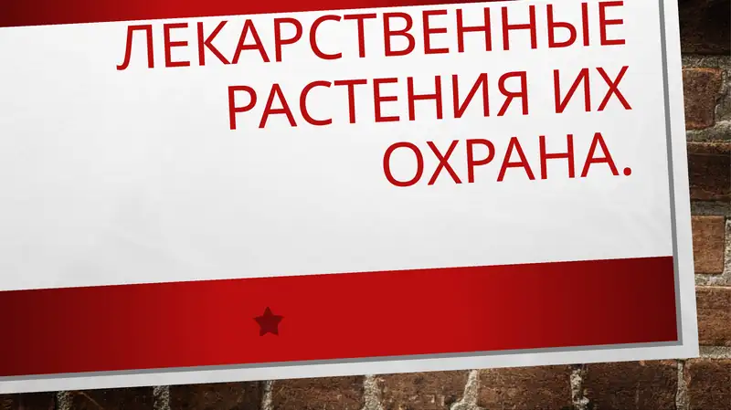 ЛЕКАРСТВЕННЫЕ РАСТЕНИЯ ИХ ОХРАНА