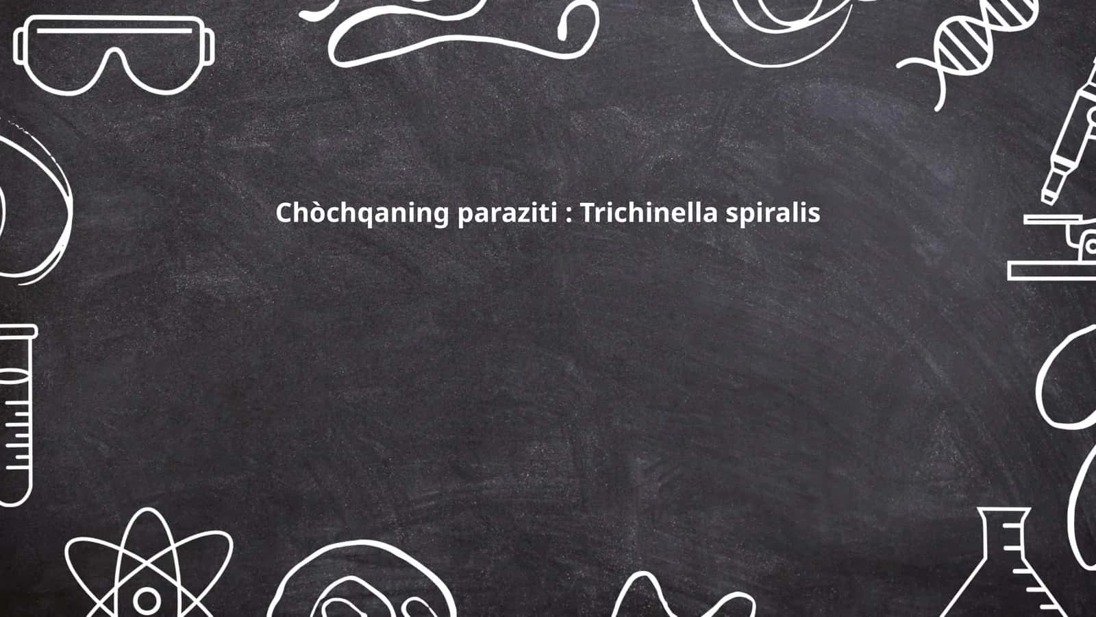 Chòchqaning paraziti: Trichinella spiralis