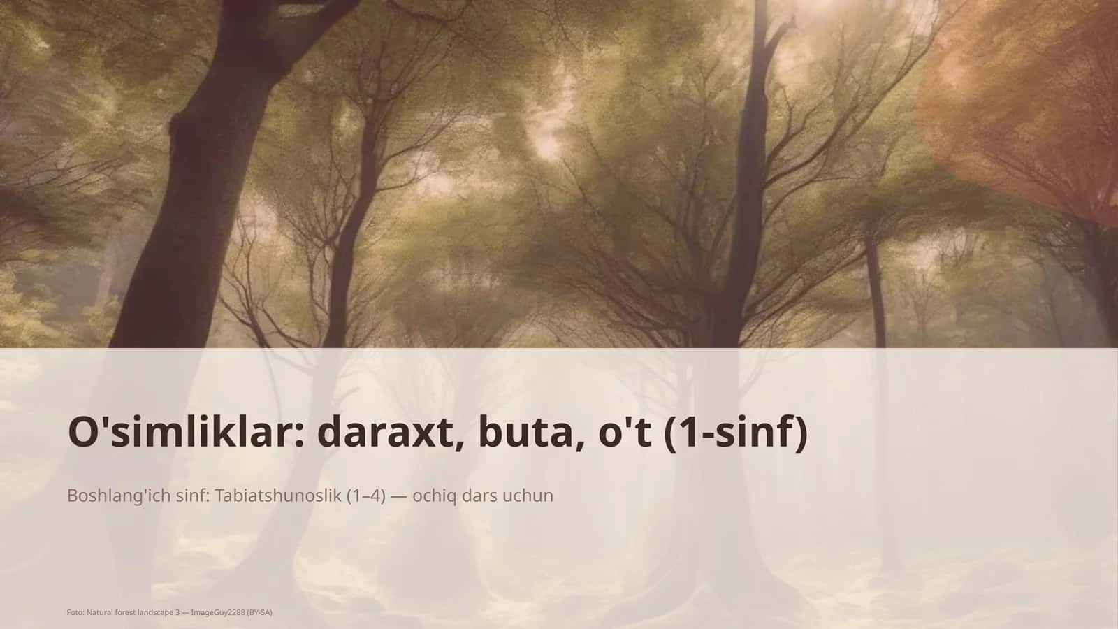 Daraxt, buta, o't mavzusi