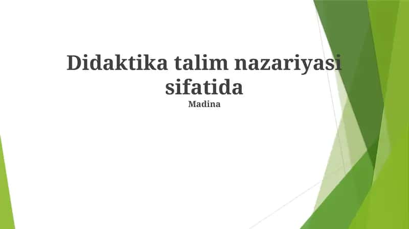 Didaktika talim nazariyasi sifatida