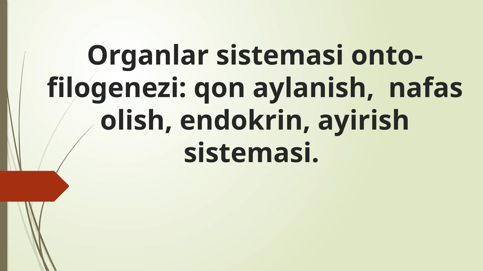 Organlar sistemasi onto-filogenezi: qon aylanish, nafas olish, endokrin, ayirish sistemasi