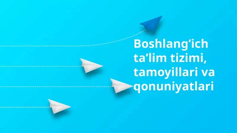 Boshlangʻich taʼlim tizimi, tamoyillari va qonuniyatlari