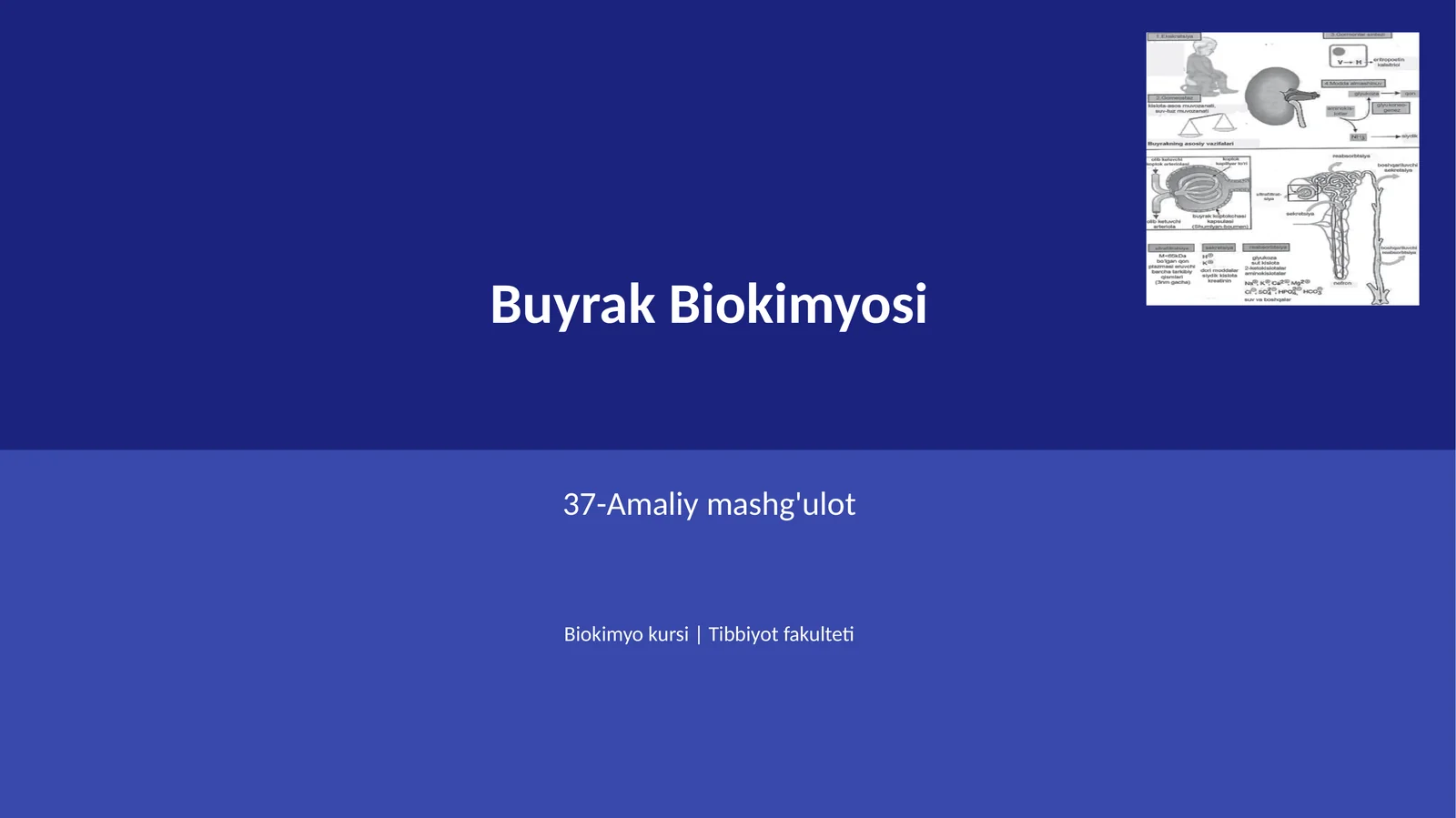 Buyrak Biokimyosi