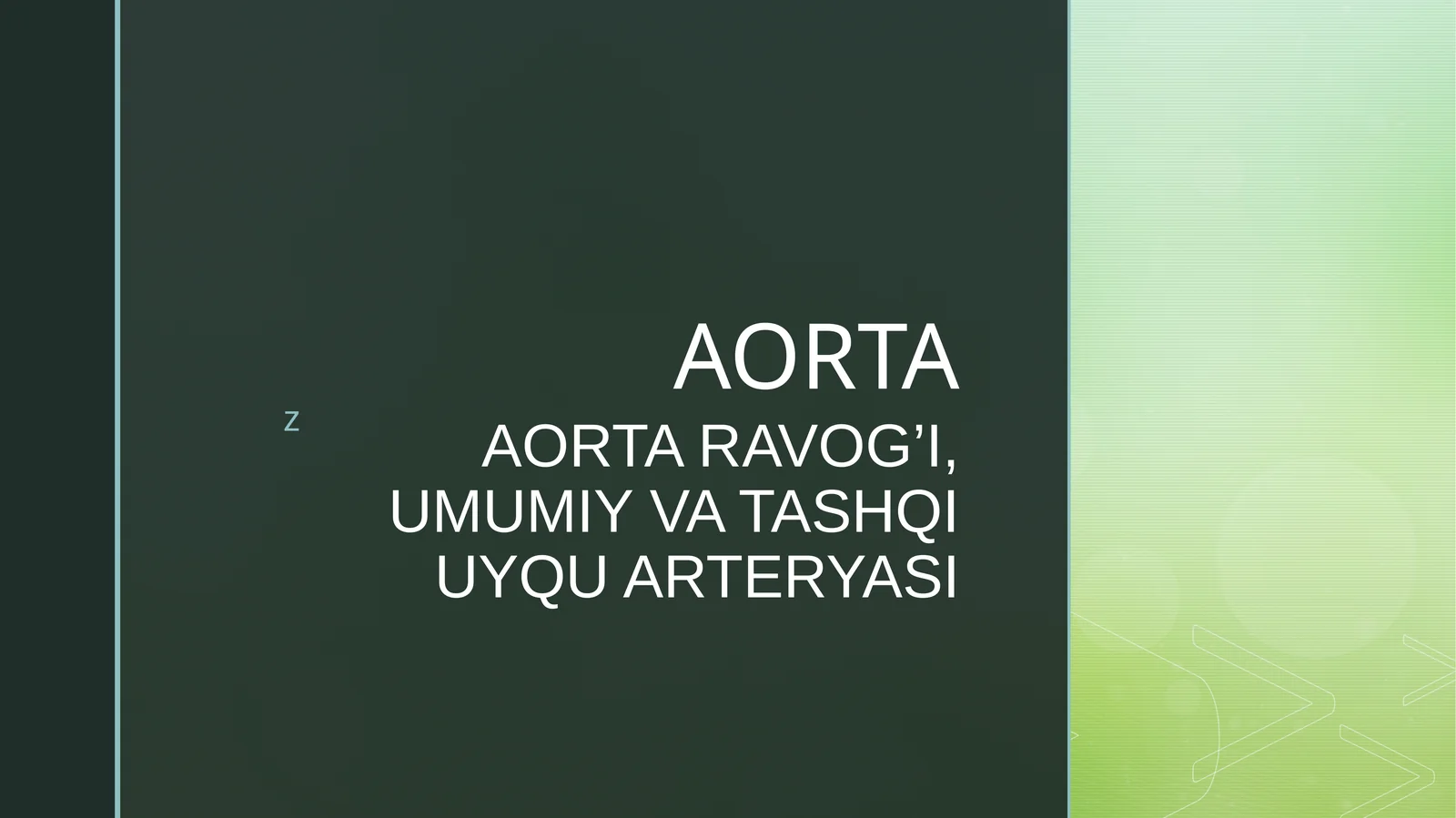 AORTA RAVOG’I, UMUMIY VA TASHQI UYQU ARTERYASI