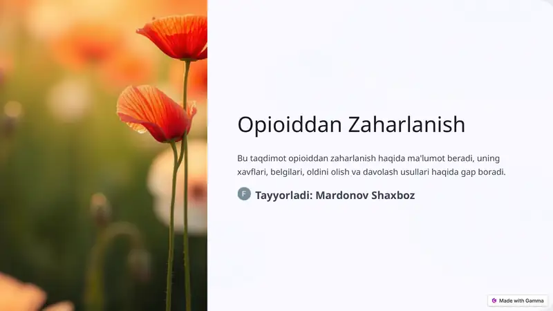 Opioiddan Zaharlanish