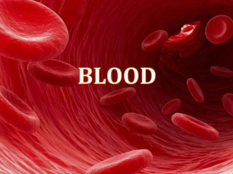 Components of Blood