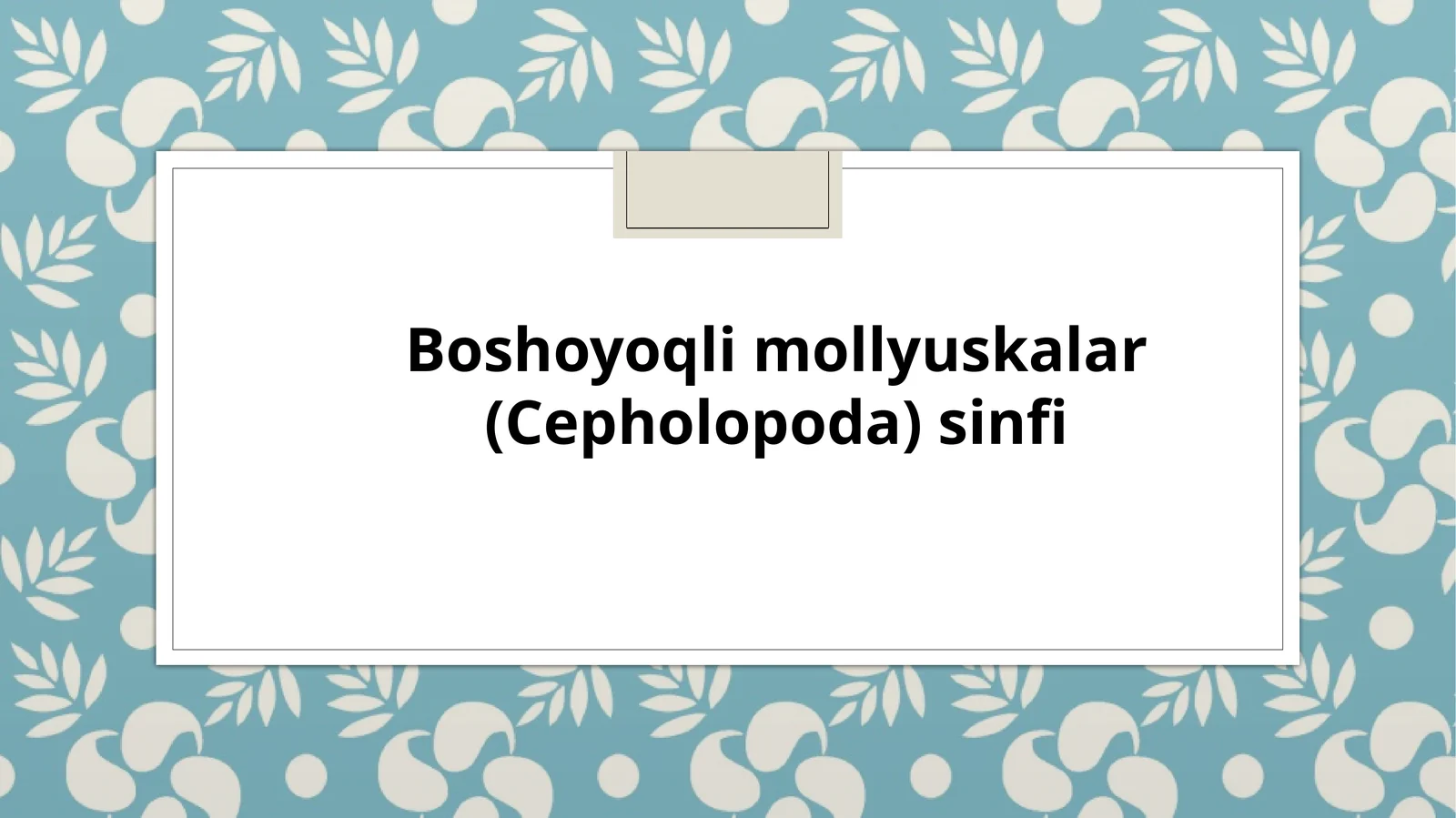 Boshoyoqlim ollyuskalar (Cepholopoda) sinfi