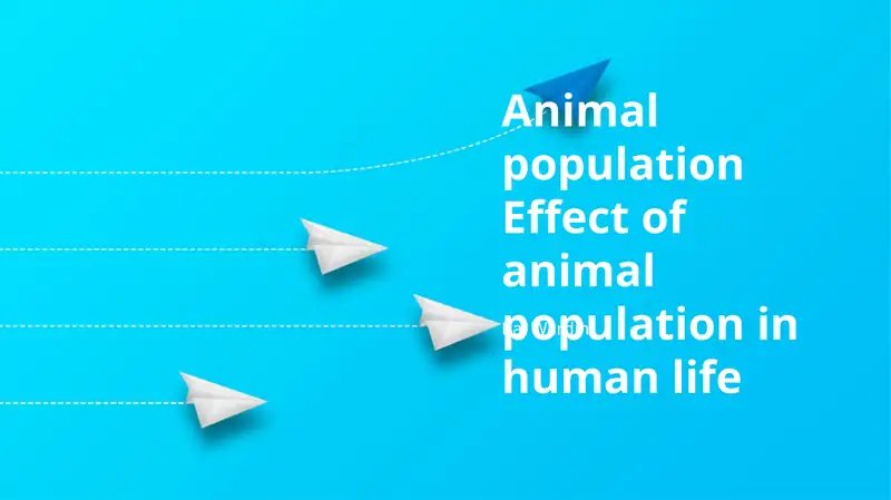 Animal population