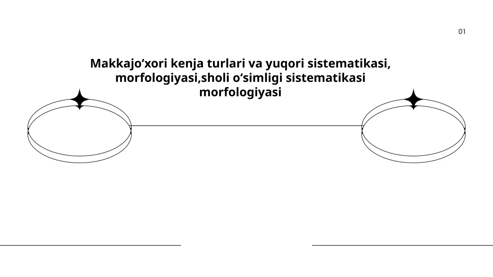 Makkajoʻxori turlari
