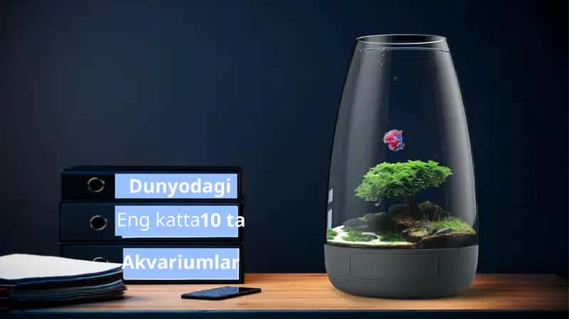 Dunyodagi eng katta akvariumlar