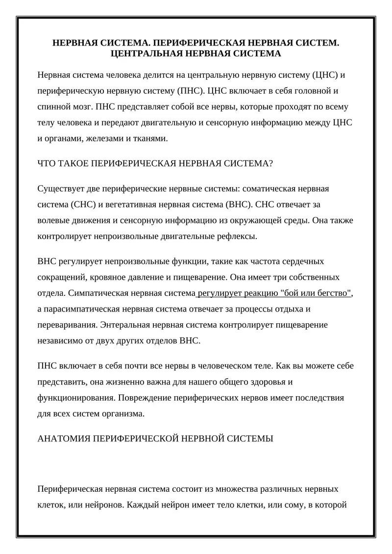 Периферическая нервная система