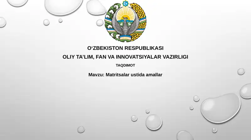 Matritsalar bilan amallar