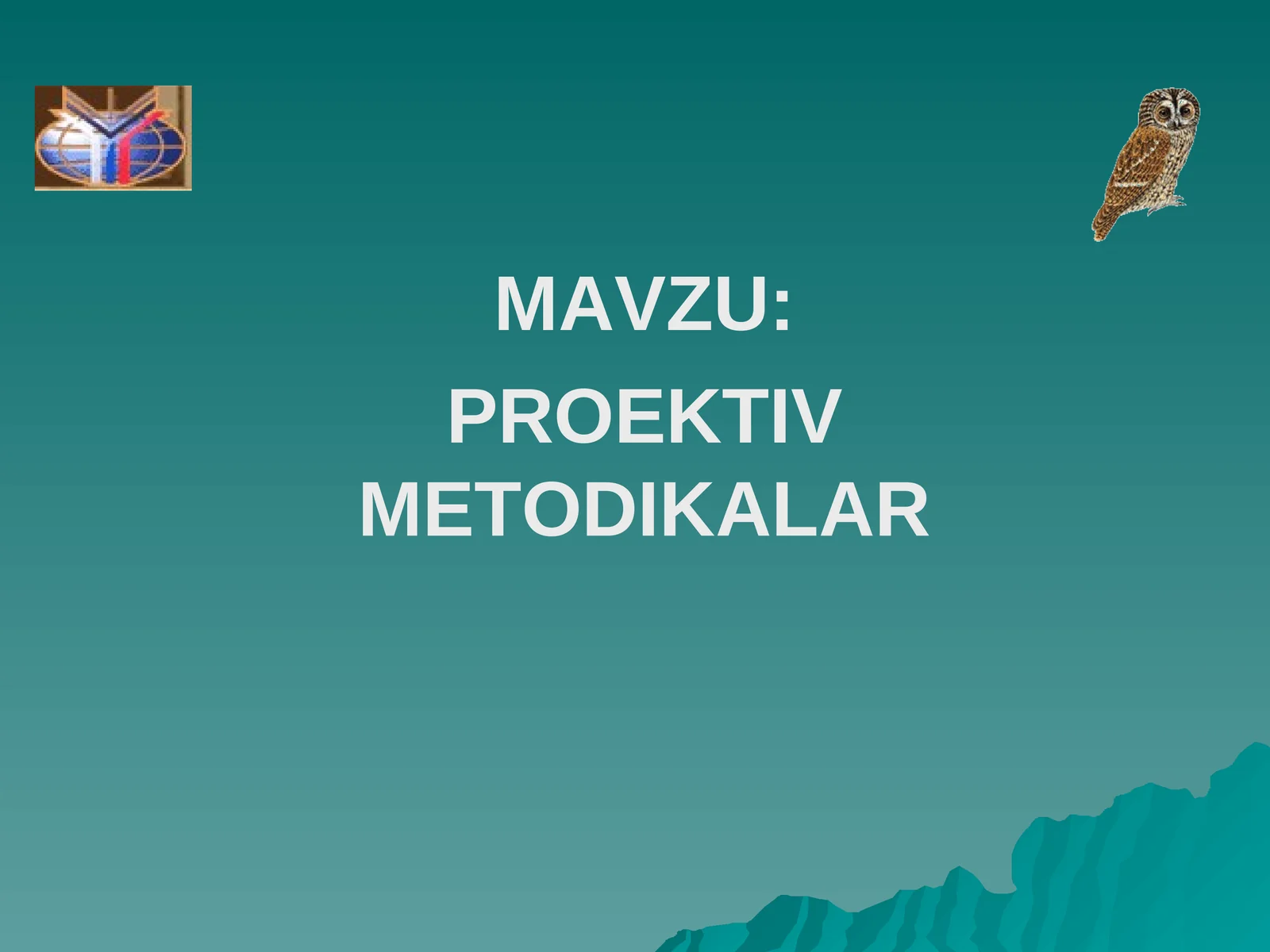 PROEKTIV METODIKALAR