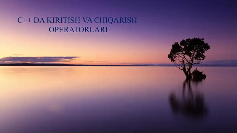 C++ DA KIRITISH VA CHIQARISH OPERATORLARI
