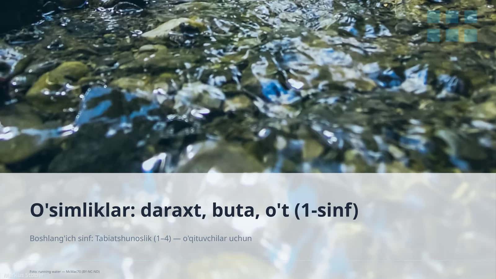 O'simliklar: daraxt, buta, o't mavzusi mohiyati va qoidalarini o'rgatish