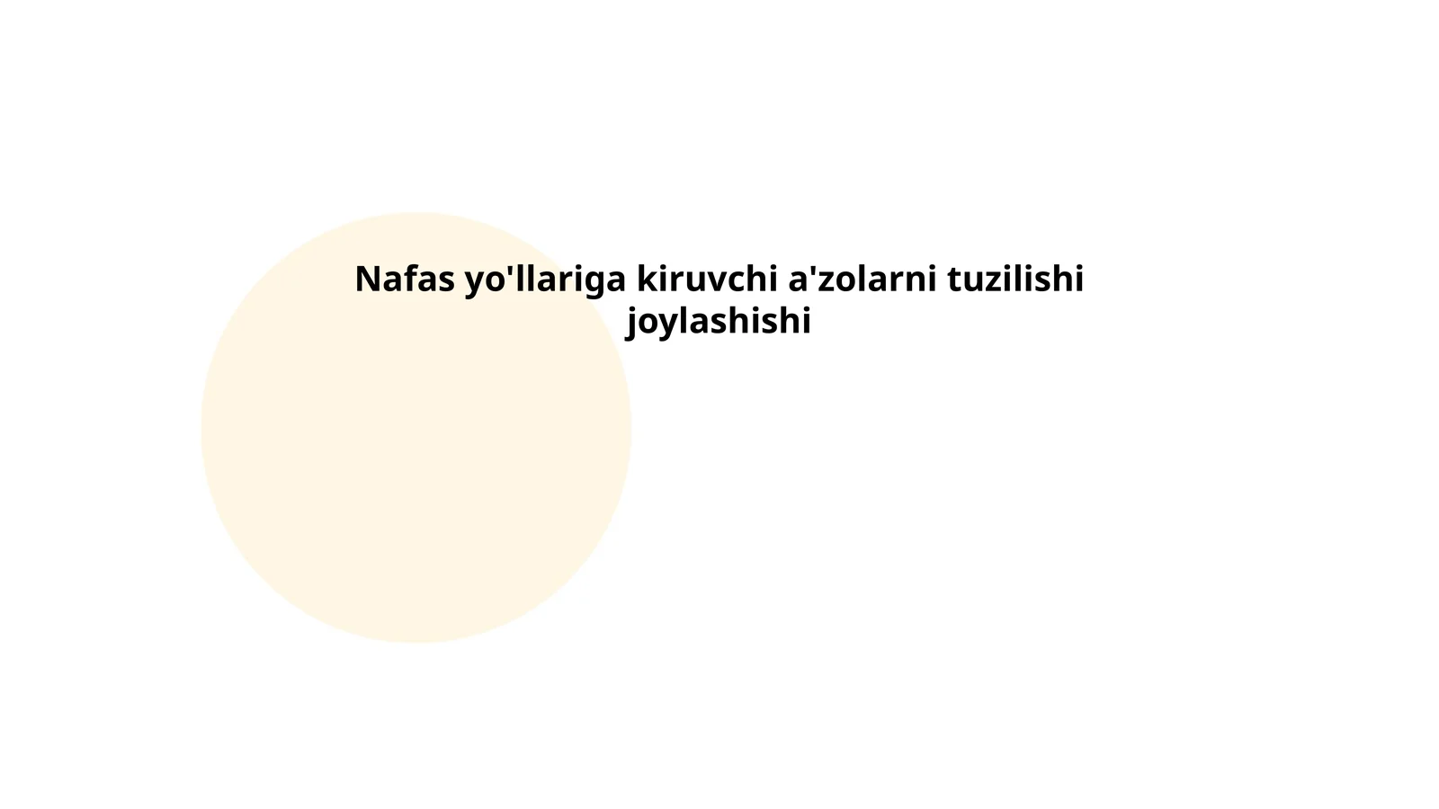 Nafas yo'llariga kiruvchi a'zolarni tuzilishi joylashishi