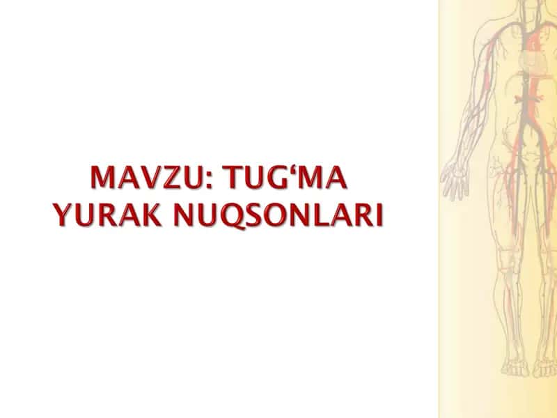 Tug‘ma yurak nuqsonlari embronal davirdagi rivojlanishdagi buzilishlar