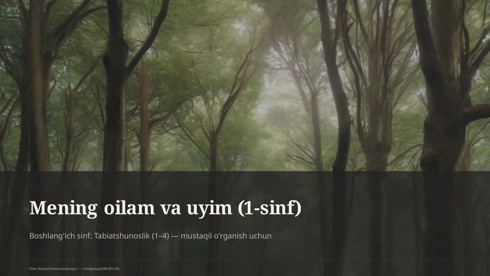 Mening oilam va uyim (1-sinf)