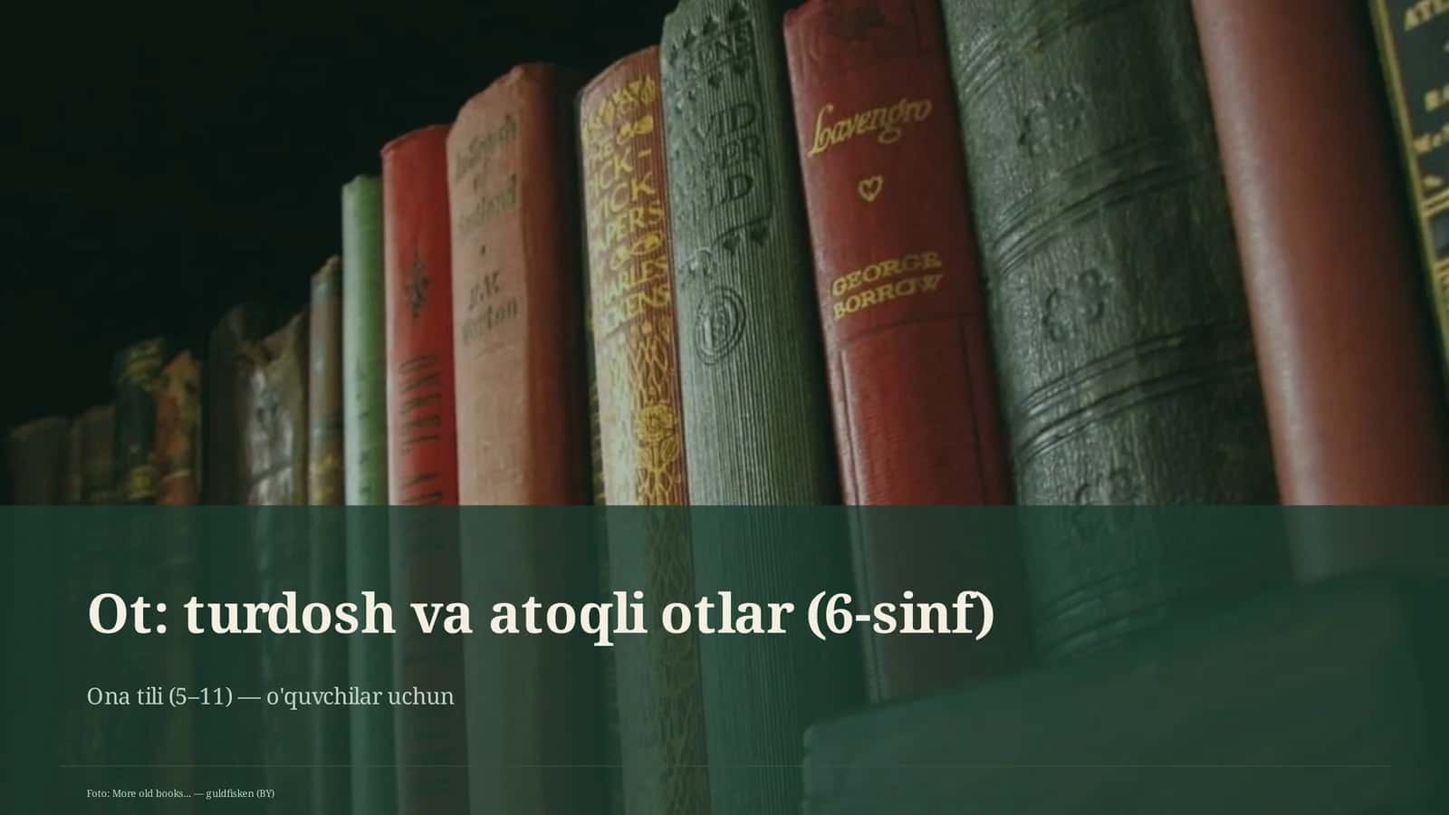 Ot: turdosh va atoqli otlar (6-sinf)
