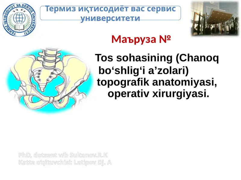 Тос соҳаси клиник анатомияси