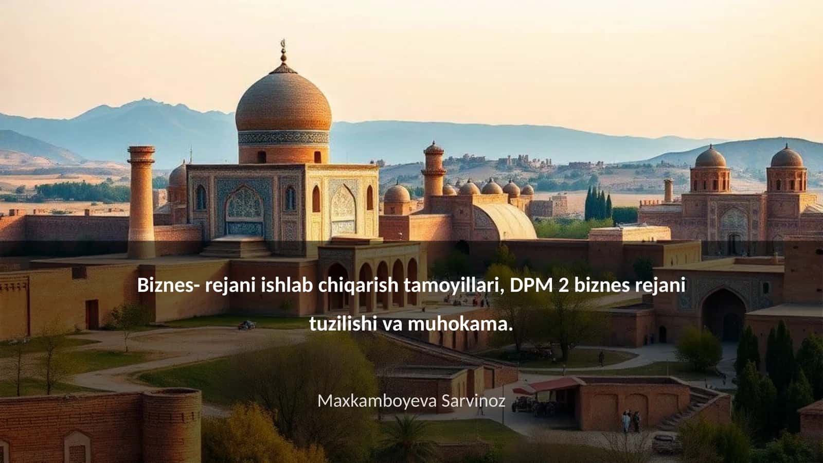Biznes- rejani ishlab chiqarish tamoyillari, DPM 2 biznes rejani tuzilishi va muhokama