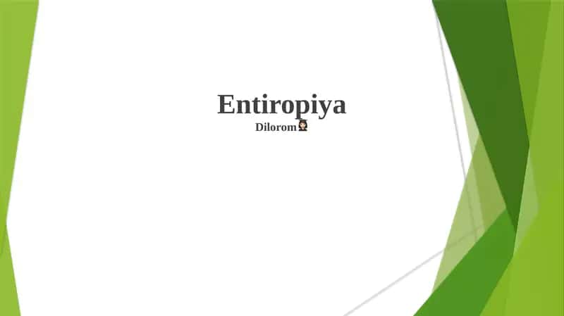Entropiya