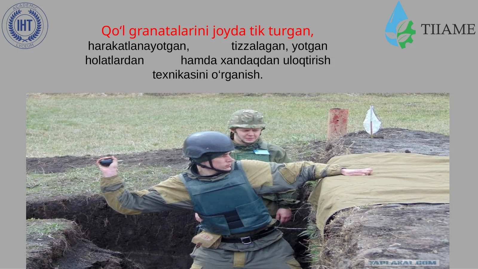 Jangovar granatalar