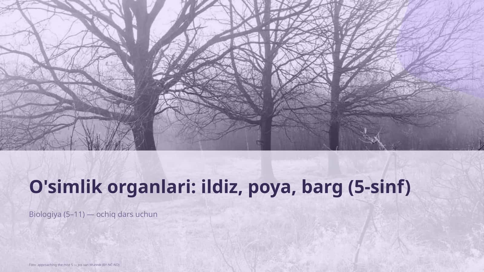 O'simlik organlari: ildiz, poya, barg (5-sinf)