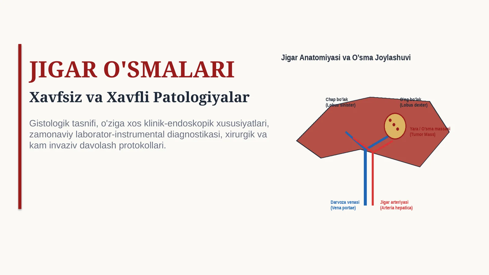 JIGAR O‘SMALARI | 15 SLAYDLI PROFESSIONAL TIBBIY TAQDIMOT