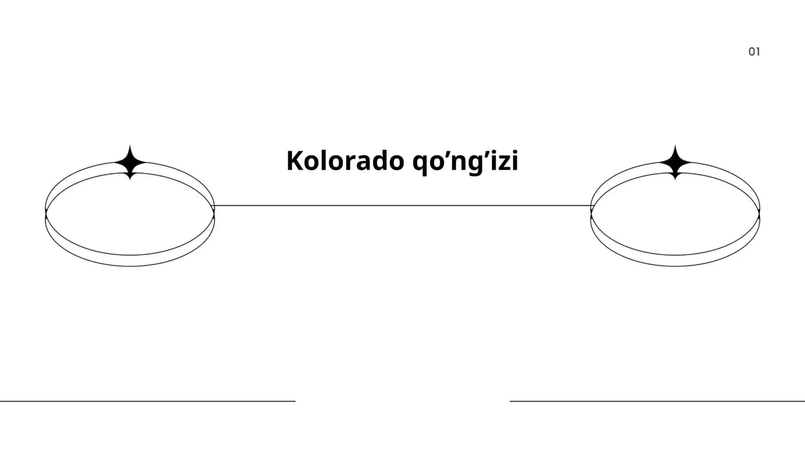Kolorado qo’ng’izi