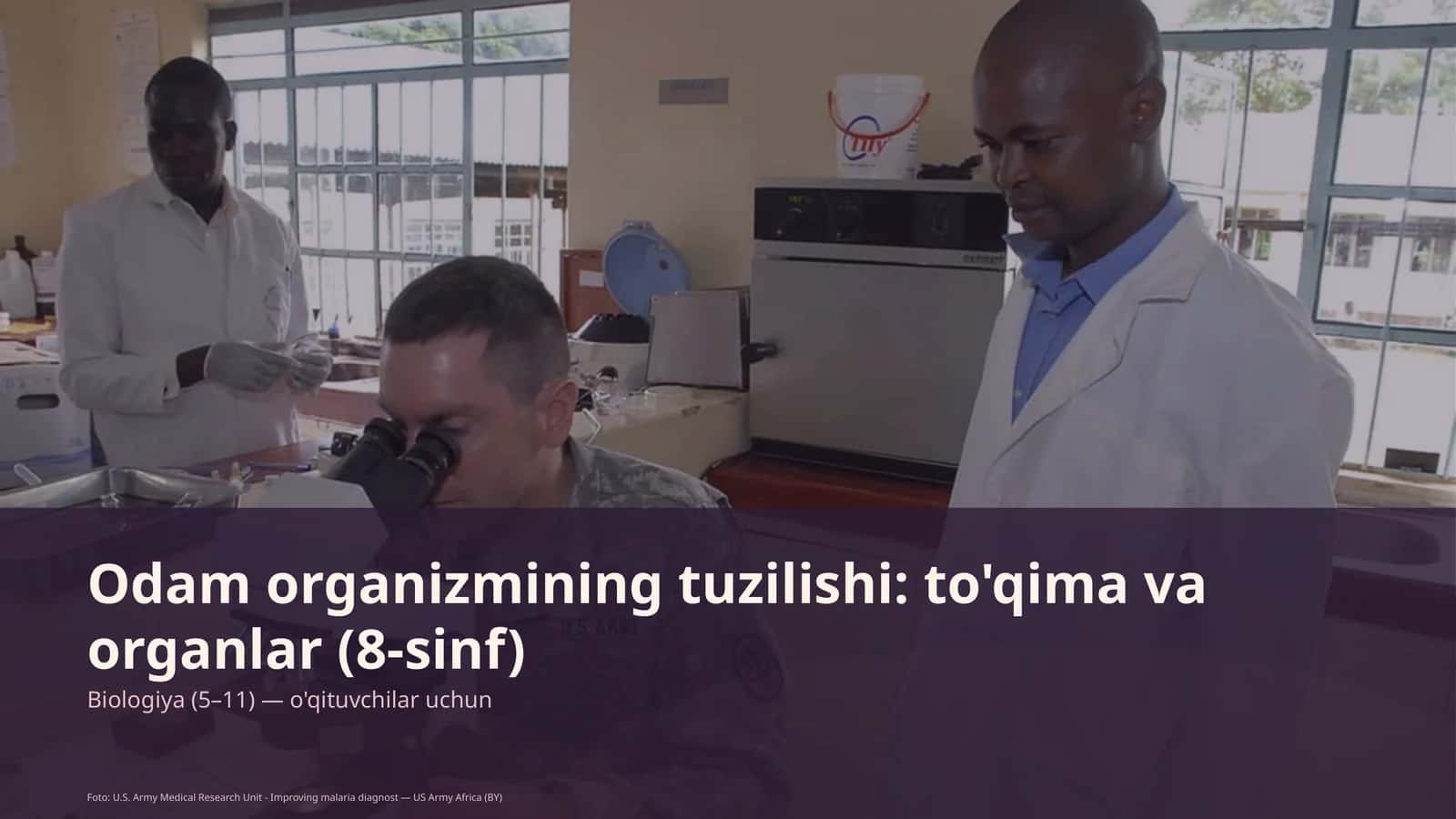 Odam organizmining tuzilishi: to'qima va organlar (8-sinf)